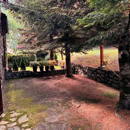 Arties Lodge Arties